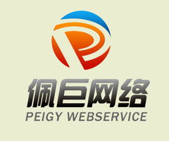 南京佩巨網絡科技 創新驅動，引領數字未來